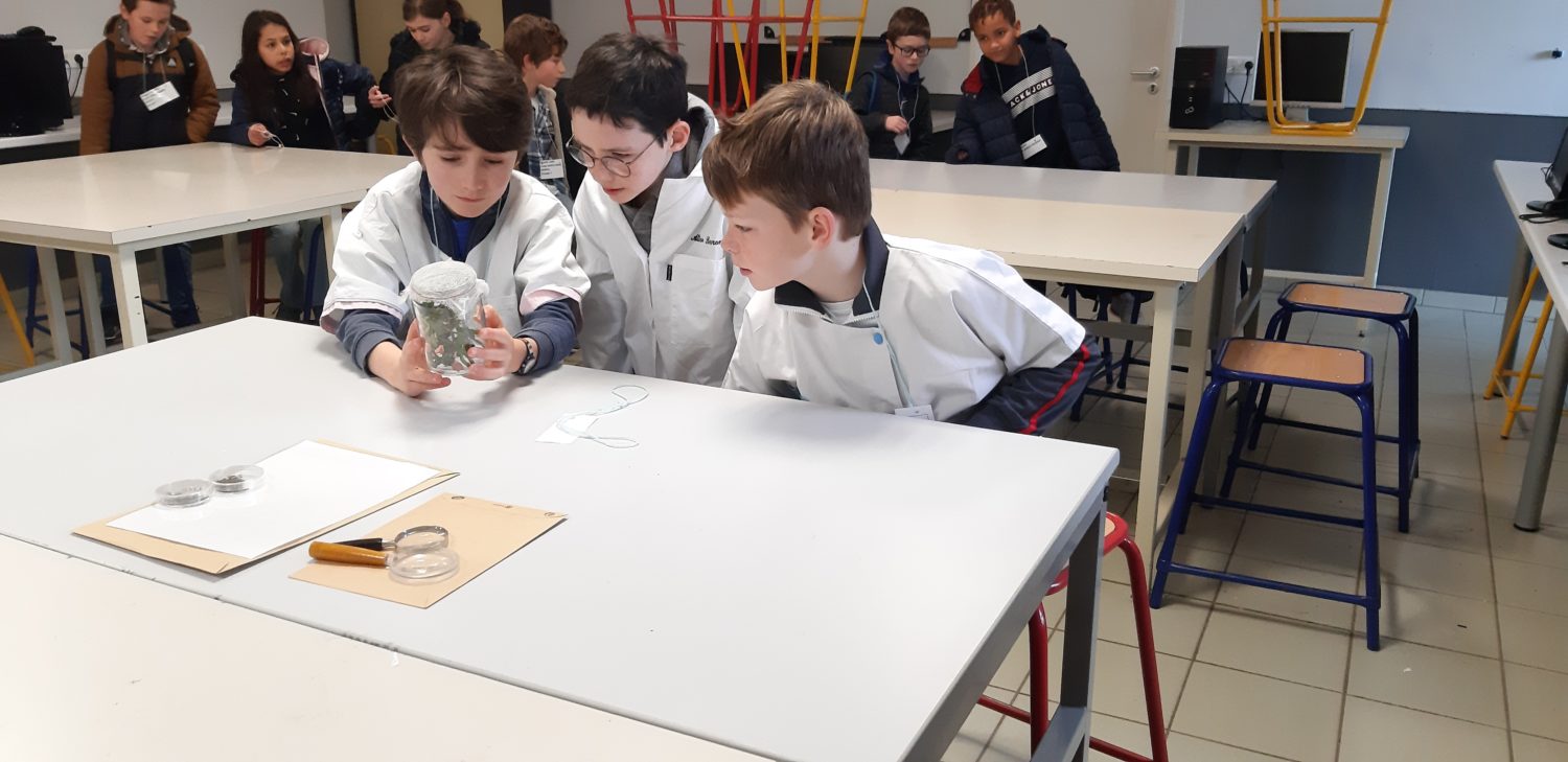 Journée “Sciences” au Collège St Joseph.